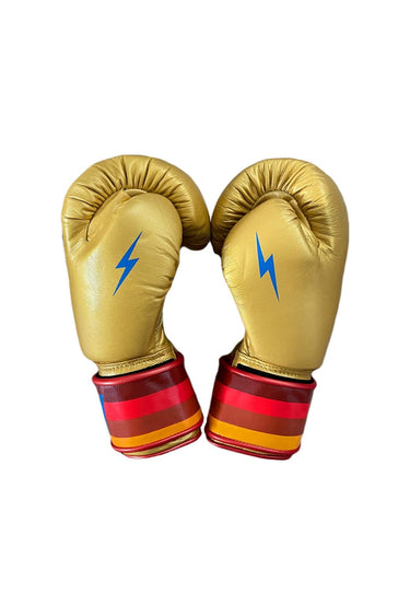 BOXING GLOVES - GOLD Boxing Gloves Aviator Nation
