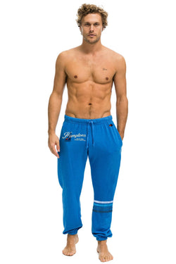 PALM TREE FEST HAMPTONS 2026 UNISEX POCKET SWEATPANTS - COBALT