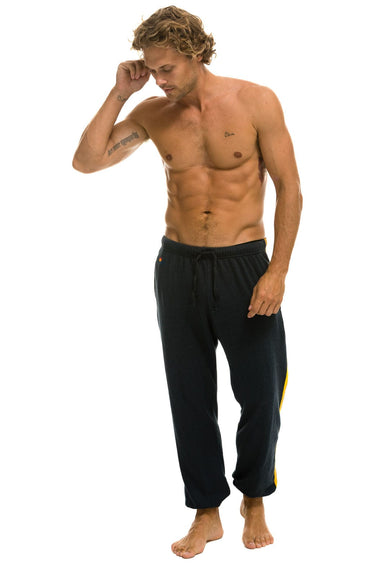 5 STRIPE SWEATPANTS - CHARCOAL Mens Sweatpants Aviator Nation 