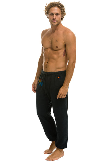 LOGO SWEATPANTS - CHARCOAL Mens Sweatpants Aviator Nation 